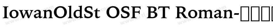 IowanOldSt OSF BT Roman字体转换